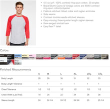 Load image into Gallery viewer, Scentsy baseball tee dark gray and purple