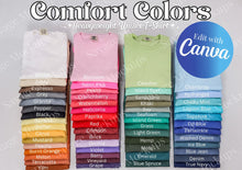 Load image into Gallery viewer, Peace love SFR- bleached and solid tee