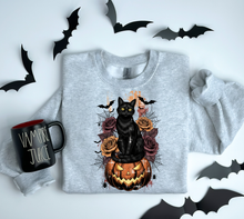 Load image into Gallery viewer, Black Cat Pumpkin
