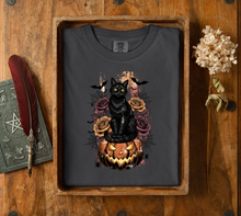 Load image into Gallery viewer, Black Cat Pumpkin
