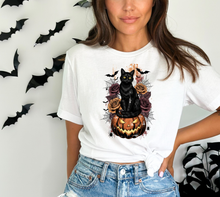 Load image into Gallery viewer, Black Cat Pumpkin

