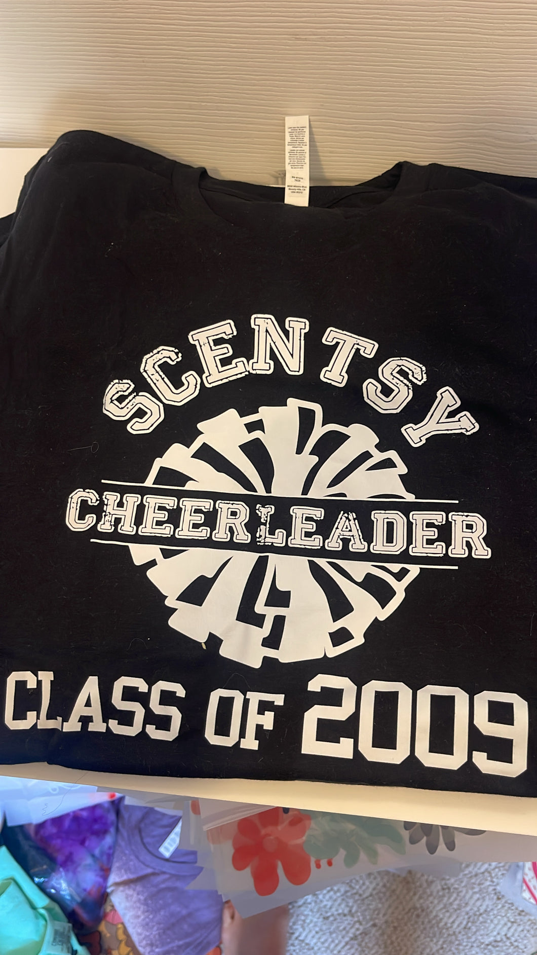 Scentsy class