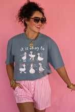 Load image into Gallery viewer, It Is Okay To Geese Tee
