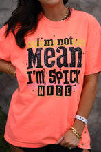 Load image into Gallery viewer, Spicy Nice Tee
