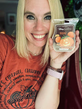 Load image into Gallery viewer, Scentsy fall
