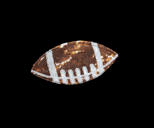 Load image into Gallery viewer, PREORDER: The Touchdown Collection Sideline Hoodie 7.20.26 osym
