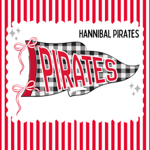 Load image into Gallery viewer, PREORDER: Pennant Flag Fleece Blanket RERUN 8.24.26
